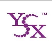 برند YSX